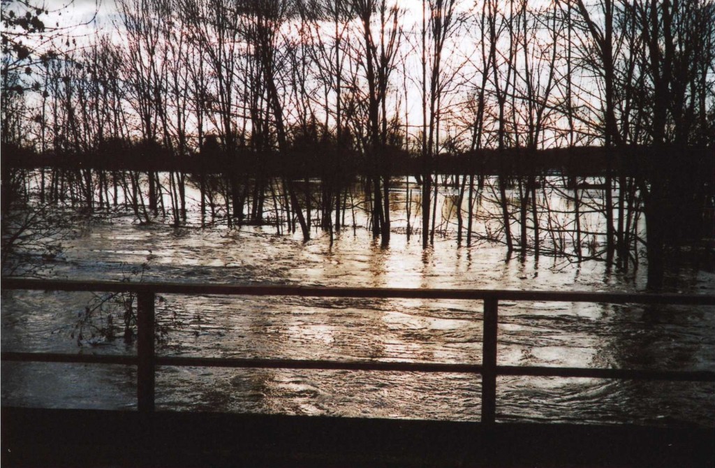 Die Pleiße bei Hochwasser im Januar 2011.