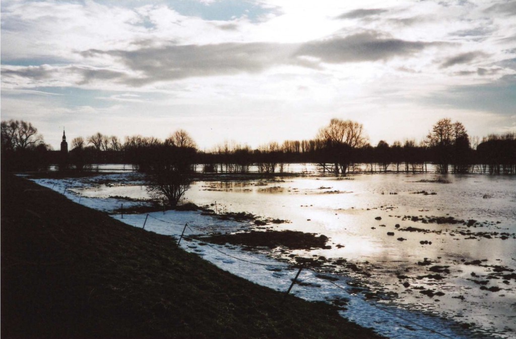 Die Serbitzer Wiesen bei Hochwasser im Januar 2011.