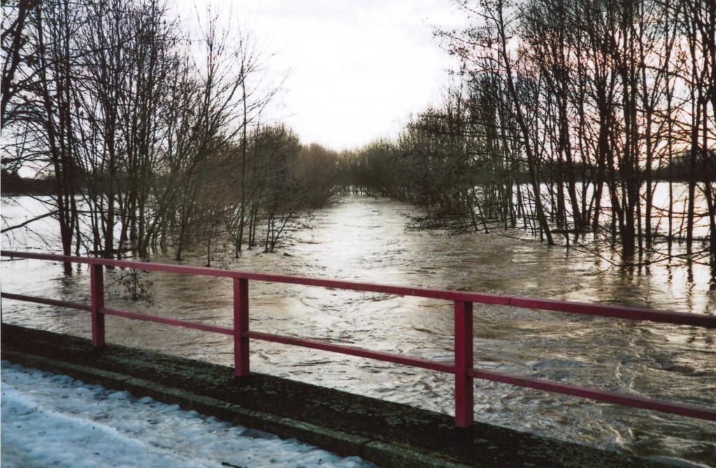 Blick von der Pleißebrücke bei Hochwasser.