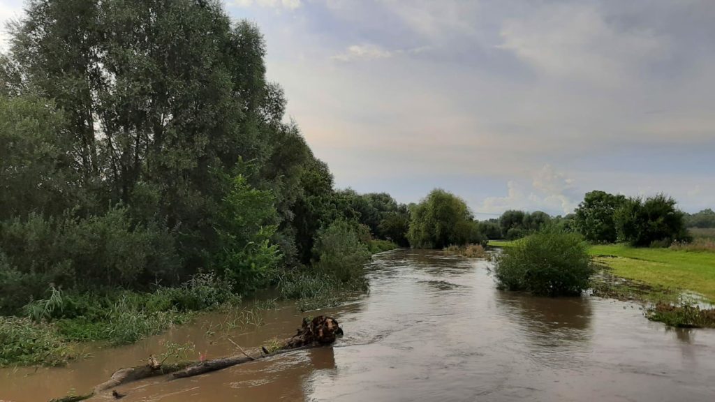 Pleiße mit Hochwasser